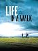 Life In A Walk