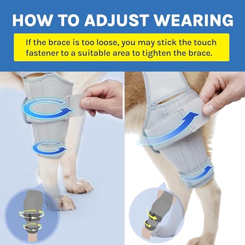 Image of Dog Knee Brace, Support for Large and Small Dogs with ACL, CCL, Cruciate Ligament Injuries, Patella Dislocation, or Osteoarthritis for Both Back and Front Legs - Color: Silver, Size: S