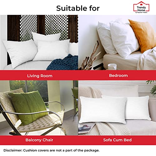Trendy Home 12X18 Throw Pillow Insert, Cushion Sham Stuffer Hypoallergenic, Lumbar Support Decorative Home Outdoor Couch Pillow Filler (Machine Wash) #TOP7