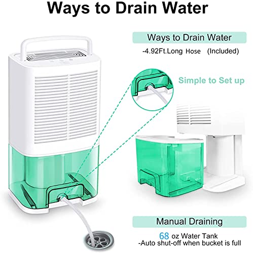 Madetec Dehumidifiers For Home 8000 Cubic Feet 800 Sq.ft, Portable Dehumidifier With Drain Hose And 68Oz (2000Ml) Water Tank, Ideal For Basements Bedroom Bathroom Closet Kitchen Rv #TOP4