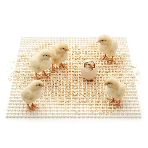 Fedudus 5-Pack Latex Chick Brooder Pads, 16x24 Inch