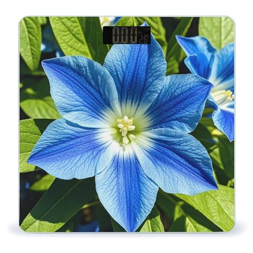 Báscula digital de baño Blue Flowers vidrio templado miniatura 1