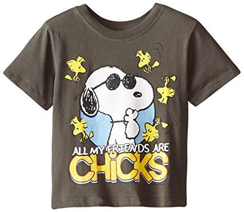 Peanuts Little Boys' Snoopy All My Friends are Chicks Short Sleeve Tee, Charcoal, 2T