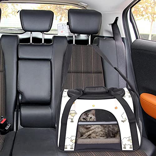 Sac de transport pour animaux approuvé compagnies aériennes tapis laine dagneau