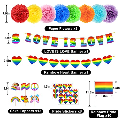 Amandir Pride Decorations Gay Pride Month Rainbow Flags, Stickers, Love Is Love Rainbow Heart Banner, Pride Foil Balloons, Paper Flowers, Cake Topper For Lgbt Pride Month Rainbow Theme Party Supplies #TOP1