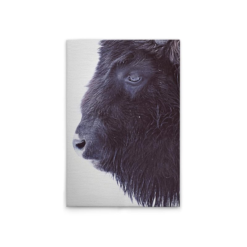 Toile animaux de buffle noir et blanc 60x90 déco murale salon tableau DD132181