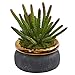 Nearly Natural Mini 10in. Cactus Artificial Black Planter with Bronze Rim Silk Plants, Green