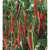 kalorien peperoni roh Wer es deftig und exotisch liebt, ist von diesem Peperoni mit seinem scharfen Cayenne-Pfeffergeschmack angetan.