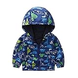 CuteOn Toddler Baby Boys' Coats Hoodie Zip Jackets Windbreaker Dinosaur 2T/90
