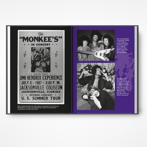 Wild Thing (em português): A breve e fantástica vida de Jimi Hendrix