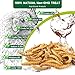 MASUCVE Black Soldier Fly Larvae Worms for Chickens, 10.5LB, 100% Natural Non-GMO BSFL Chicken Food, More Calcium Than Dried Mealworms, High Protein Chicken Treats for Layer Hens, Wild Birds, Ducks