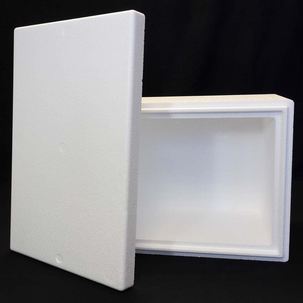 Terra Exotica Styroporbox/Thermobox - 41,5 Liter - 60 x 40 x 33 cm | Wandstärke 4 cm, Styrobox