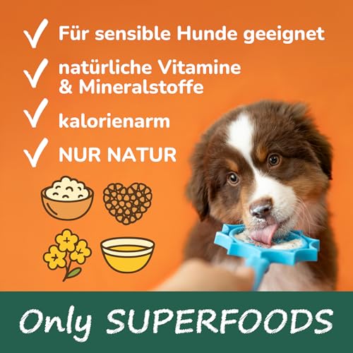 QCHEFS 2X Zahnputzflocken für Zahnpflege Hund Zahnreinigung gegen Zahnstein
