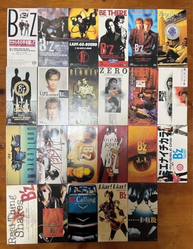 b'z アクセサリー」の人気商品一覧・価格比較 - 価格.com