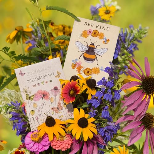 Bentley Pollinator Mix - Pre-Filled, Non-GMO, Non-Coated Butterfly Packets - 25 Annual Wildflower Seeds - Perfect Eco-Friendly Gift by Bentley Seed Co. - Image 7