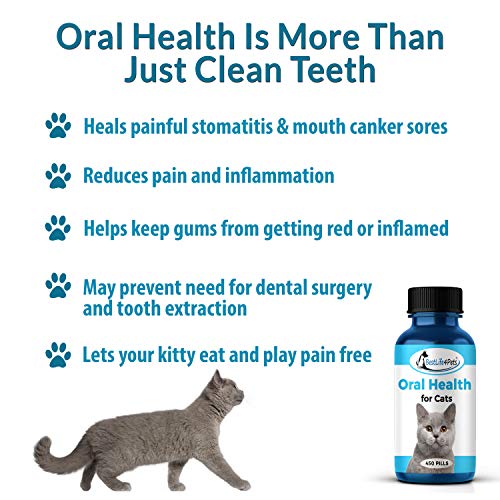 Oral Health for Cats Dental Treatment - Natural Stomatitis and Gingivitis Solution is Highly Effective for Feline Mouth Issues Including Tartar and Inflammed Gums - Easy to Use (450 pills)