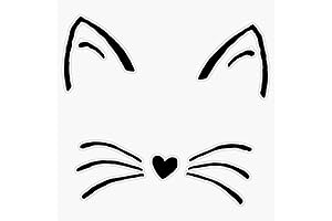 Cat Whiskers Eyebrows Decal Vinyl Bumper Sticker Funny Face Expressions Art