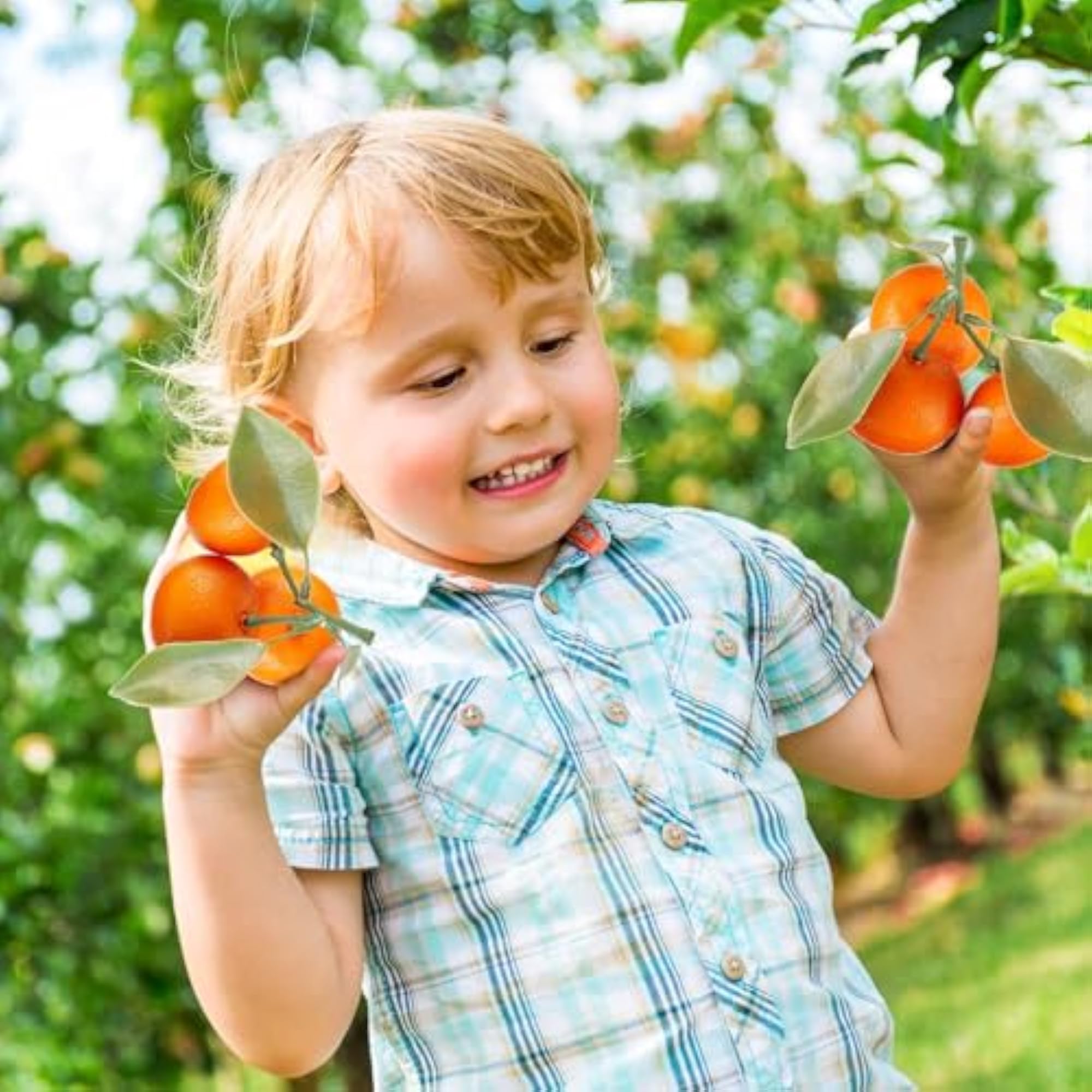 Artificial Mini Orange Simulation for Kitchen Decor