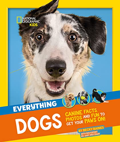 Everything: Dogs: Canine facts, photos and fun to