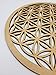 DOFER Crystal Grid Flower of life sacred geometry wall art the flower of life flower of life decor positive energy decor