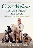 Algopix Similar Product 9 - Cesar Millans Lessons From the Pack