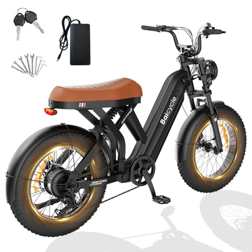 52V 31.5Ah Long Range Ebike