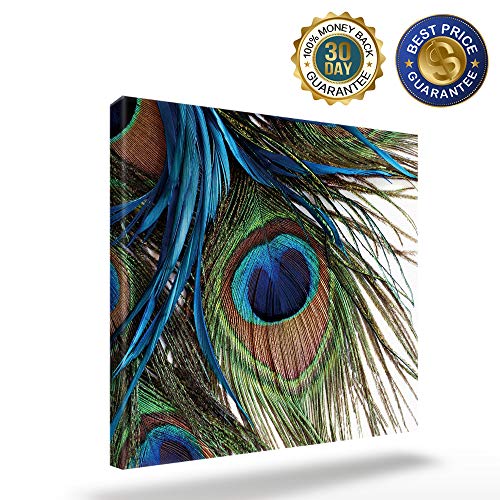 T&H Xhome Wall Art Oil Paintings On Canvas Print Peacock Feather Arts Office Artwork Home Decoration Living Room Bedroom Bathroom Giclee Walls Decor,Wooden Framed Ready To Hang 12X12In #TOP1