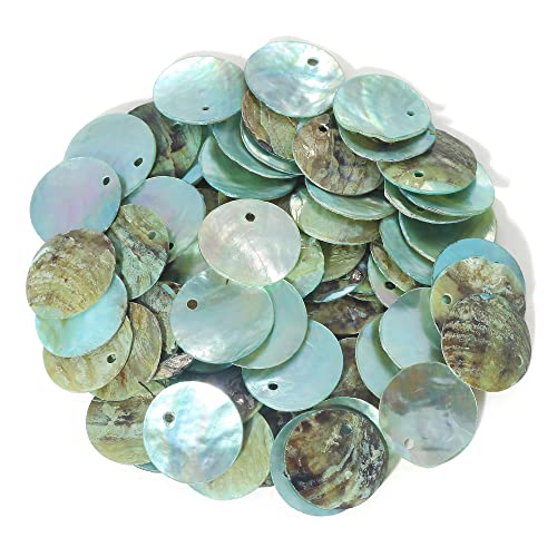 Firstmeet Shell Beads 240Pcs Natural 12Mm Flat Round Mussel Shell Coin Drop Charm Beads With Iridescent Back For Handcraft Jewelry Making(Diy-1023-Opal Blue-12) #TOP11
