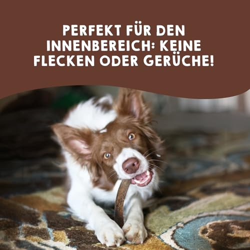 MAIKAI Packung 2 Hirschgeweih für Hunde Größe L – Natürlicher Kauknochen + Widerstandsfähig – Ideal für Mittlere Hunderassen bis 30 kg – Langlebiges Hundespielzeug