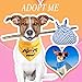 40 Pieces Adopt Me Dog Bandanas Bulk Multi Colors Bibs Triangle Dog Washable Scarf Kerchief Set for Small Medium Large Cats Pets Costume Accessories Decoration