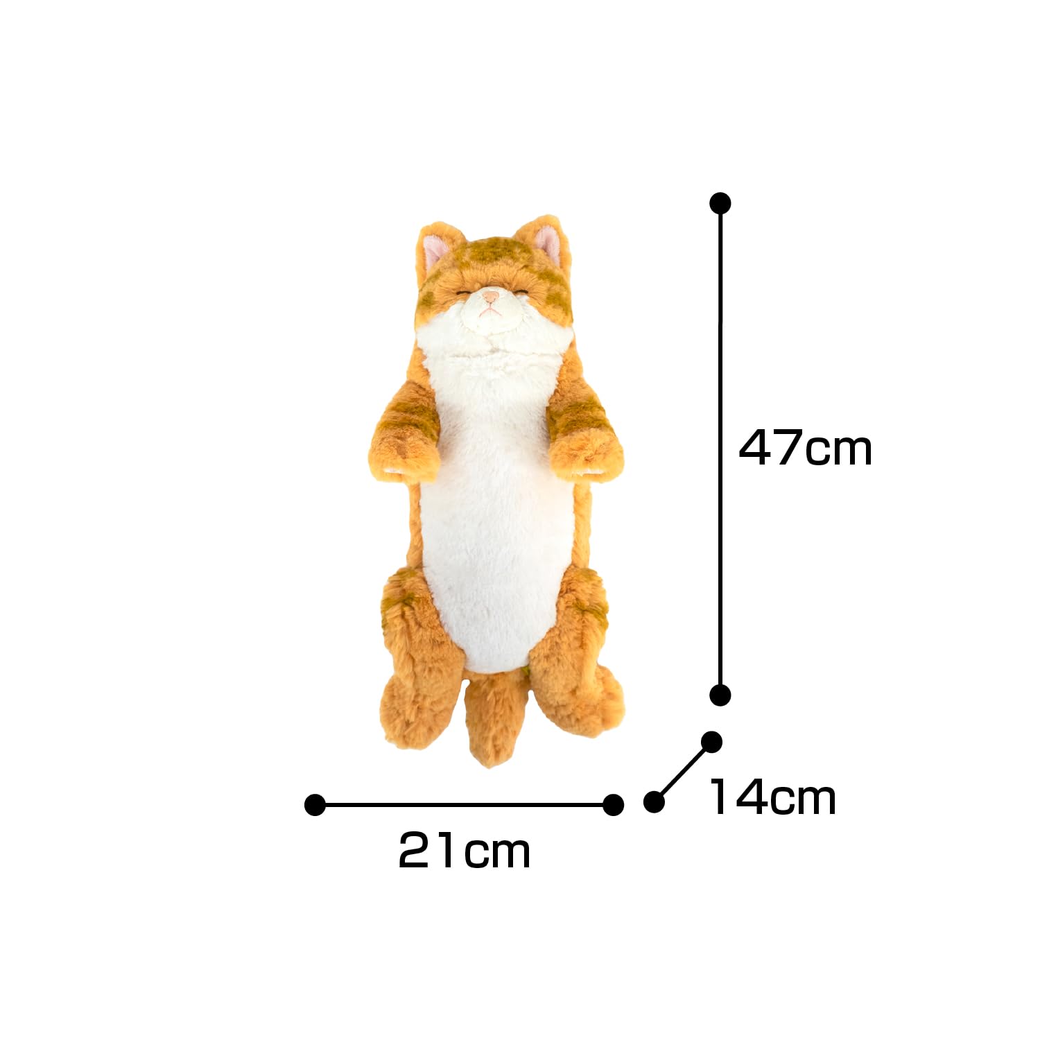 Amazon.co.jp: サンレモン ひざねこ すやすや チャシロ 21×14×47cm