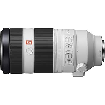 SONY FE100-400mm f4.5〜5.6 GM　OSS（46) Amazon.com : Sony FE 100-400mm f/4.5-5.6 GM OSS Lens