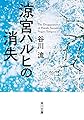 涼宮ハルヒの消失 (角川文庫)