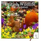 Calendrier carré 2022 de la faune britannique de 30 cm x 60 cm et agenda A5 avec crochet auto-adhésif réutilisable pour accrocher le calendrier et un crayon de Noël pour écrire vos dates importantes