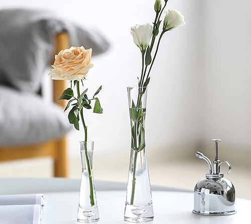 Miniatura 7 de Jarrón de cristal transparente con boca pequeña, cintura delgada, contenedor de flores de vidrio con un solo tallo para oficina, hogar, hotel,