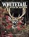 Whitetail Rites of Autumn
