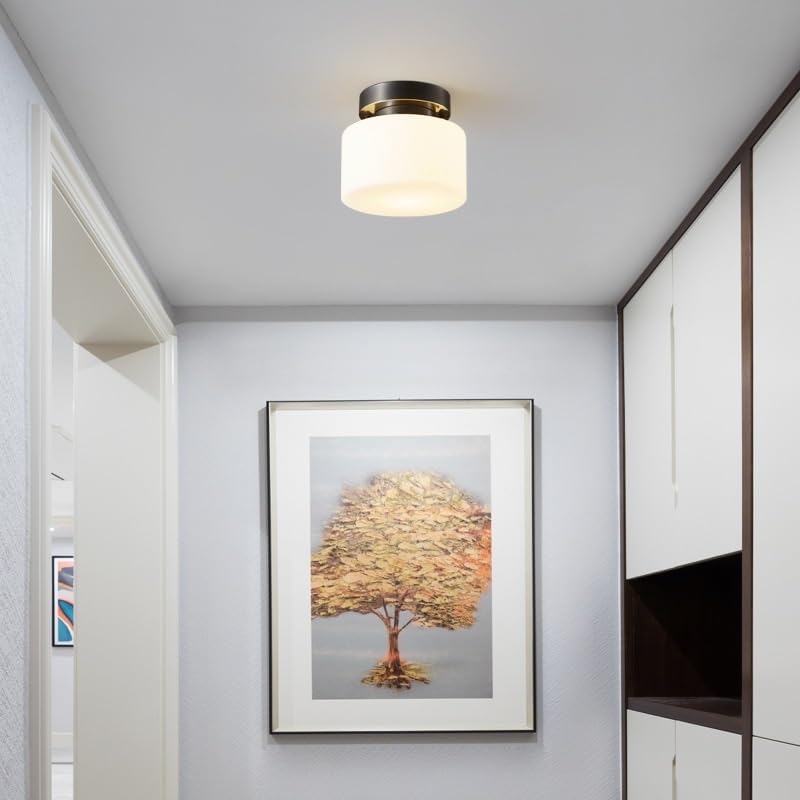 Modern Simplicity All Copper Glass Ceiling Lamp Creative Close to Lights 3 Color Dimmable Semi Flush Mount Lighting with E26/E27 Base for Kitchen Study Store Bar Counter