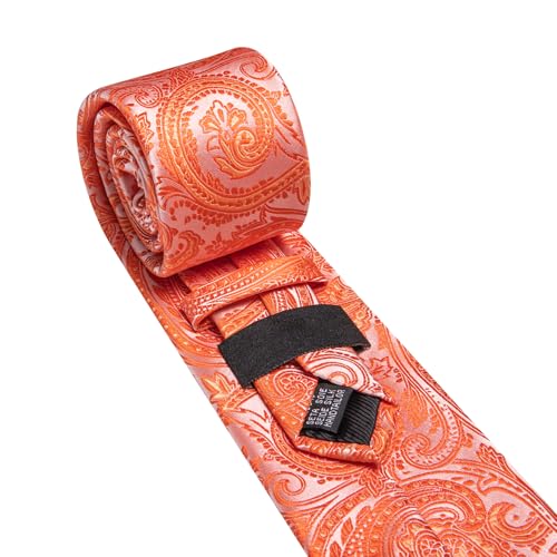 Image of Barry.Wang Paisley Tie for Men Silk Woven Necktie and Tie Clip Set Wedding Party Business Formal