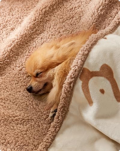 Feandrea wasserdichte Hundedecke, Sherpa Fleece Haustier Decke für Miniaturhunde und kleine Hunde, Katzen, 101 x 73 cm, M, maschinenwaschbar, beidseitiger Sofabezug-Schutz, beige PPB040K01