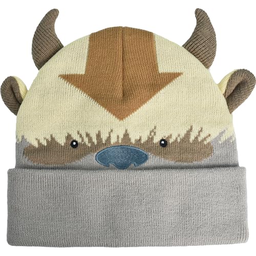 Bonnet Avatar The Last Airbender idéal pour rester au chaud durant vos sorties hivernales