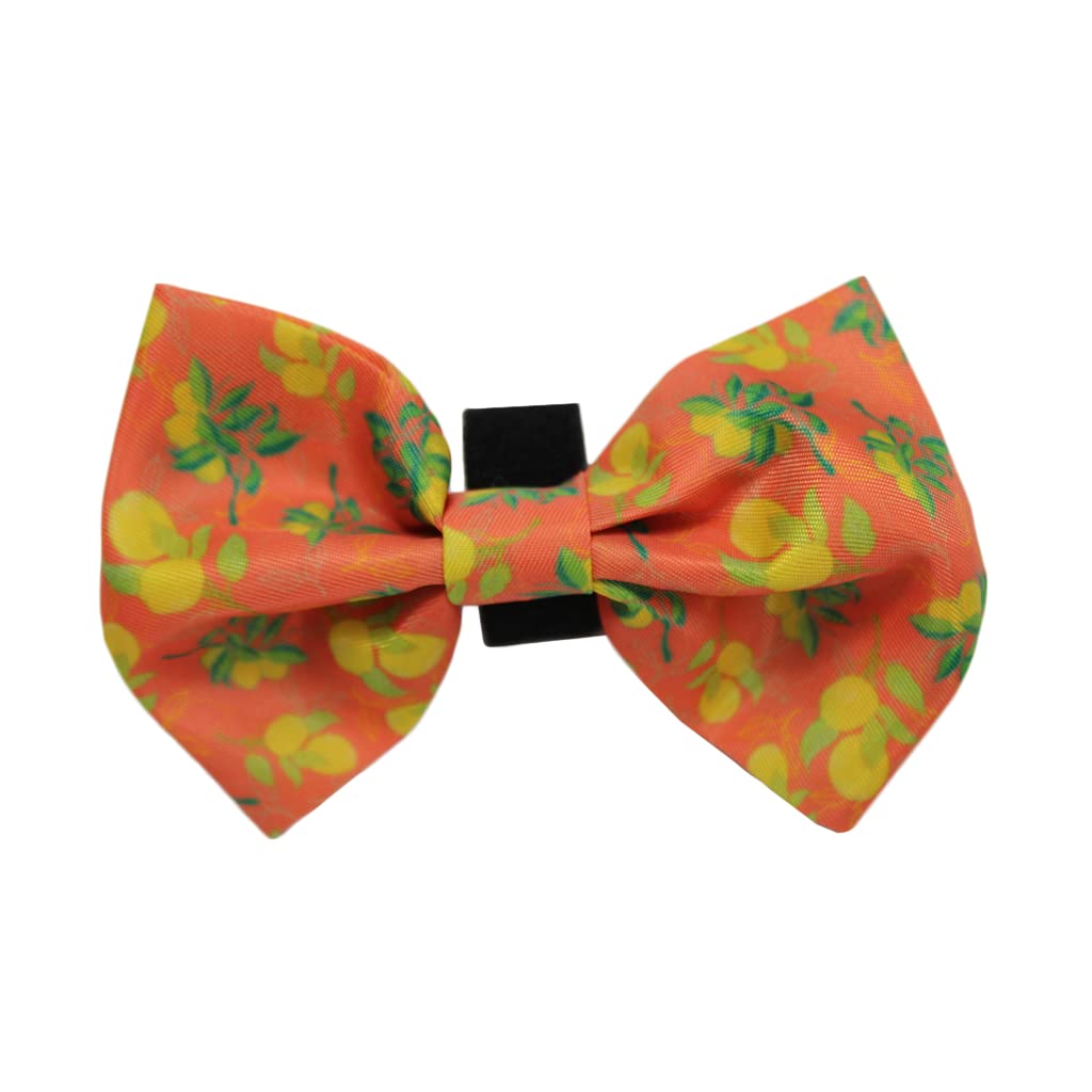 Pic Pac PawSqueeze Please Collection- Bow Tie for Small, Medium and Large Dogs