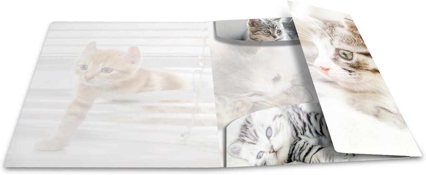 HERMA 19337 Sammelmappe DIN A3 Tiere Katzen, stabiler Kunststoff, Ordnungsmappe mit Hochglanz-Effekt, farbig bedruckten Innenklappen und Gummizug, Zeichenmappe für Kinder, Mädchen und Jungen