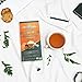 Miracle Tree's Moringa Energy Tea - Orange & Passionfruit | Super Caffeinated Blend | Coffee Alternative, Perfect for Focus | Organic Certified & Non-GMO | 16 Pyramid Sachets