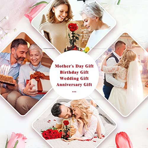 Mom Gifts For Her, Beauty And The Beast Rose, Mothers Day Flower Rose Gift, A Gift For Grandmother And Grandmother, Birthday Gifts, Silk Rose With Led Lights, Gifts For Couples Unique #TOP1