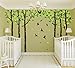 MAFENT Giant Family Tree Wall Decals Forest Birch Tree Wall Stickers Birds Wall Art for Kids Room Nursery Bedroom Living Room Decoration(Dark Brown and Green)