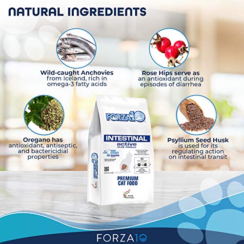 Forza10 Active Intestinal Support Diet Dry Cat Food for Adult Cats, Cat Food Dry for Upset Stomach, Diarrhea and Intestinal Disorders, Wild Caught Anchovy Flavor, 4 Pound Bag - Thumbnail 3
