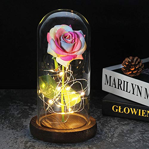 Good Rose LanternBeauty and The Beast Rose Kit Artificial Colorful Gold Foil Rose Flower and Led Fairy String Lights in Glass
