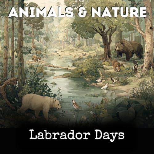 Labrador Days cover art