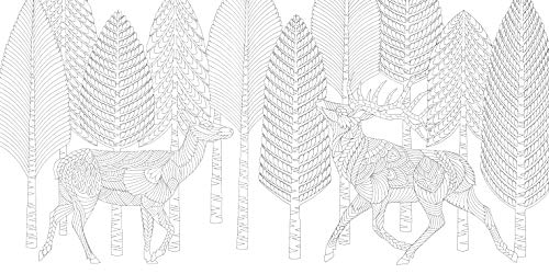 Millie Marotta's Woodland Wild: a colouring book adventure: 24