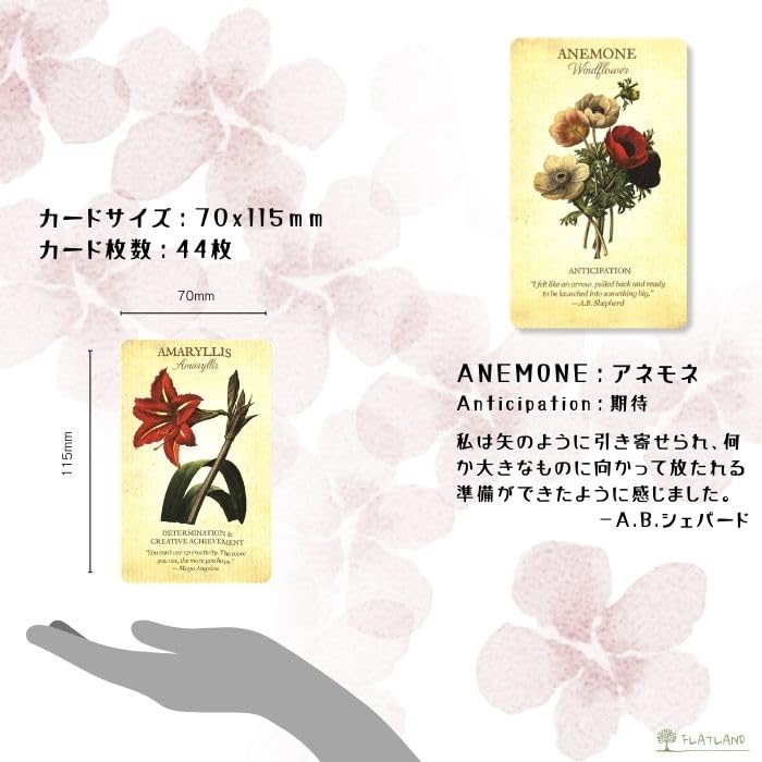 Amazon.co.jp: 【日本語解説書付き】ボタニカル インスピレーション